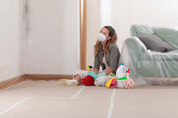 Reliable Basement Mold Removal contractor in Madison, NJ by WQB Mold Removal